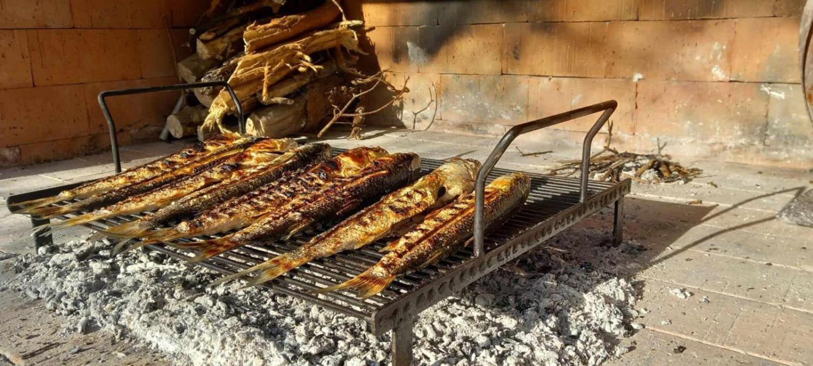 Apartman Bojana * Starigrad Paklenica