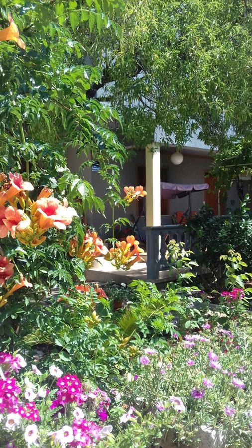 Apartman Bojana Apartmán *