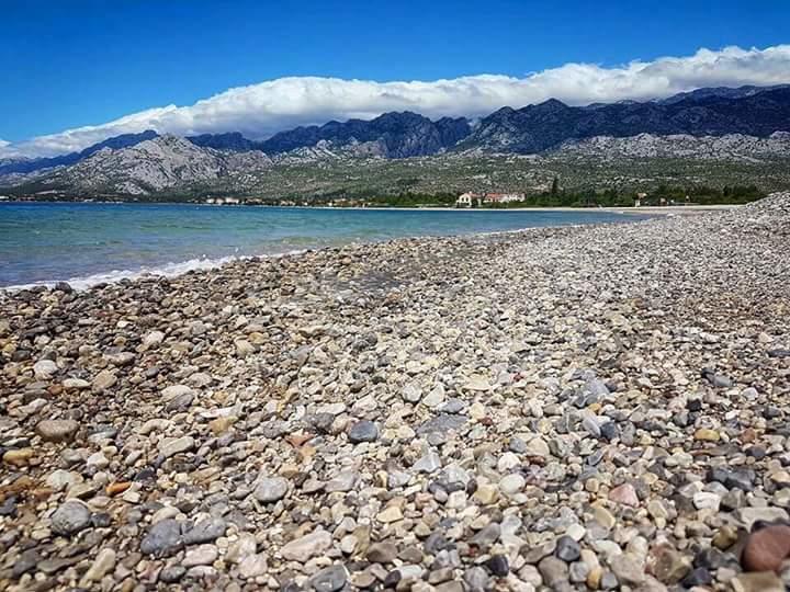 Apartman Bojana Apartmán *